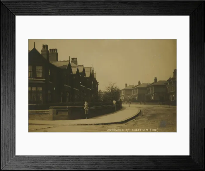 Framed Print : Woodland Road