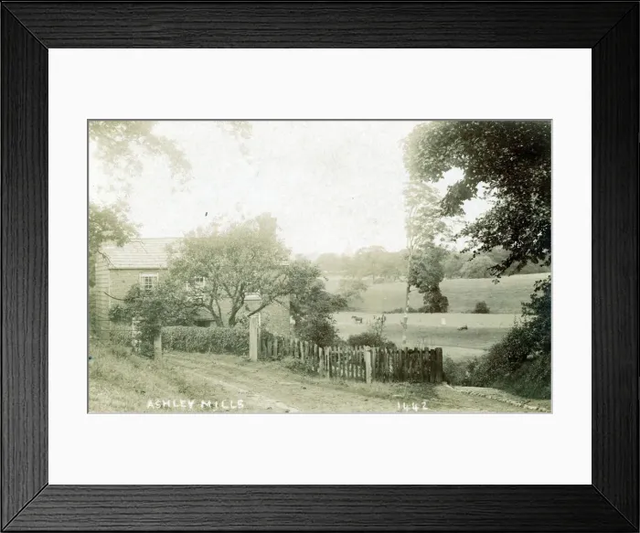 Framed Print : Ashley Mills Framed Print : Ashley Mills