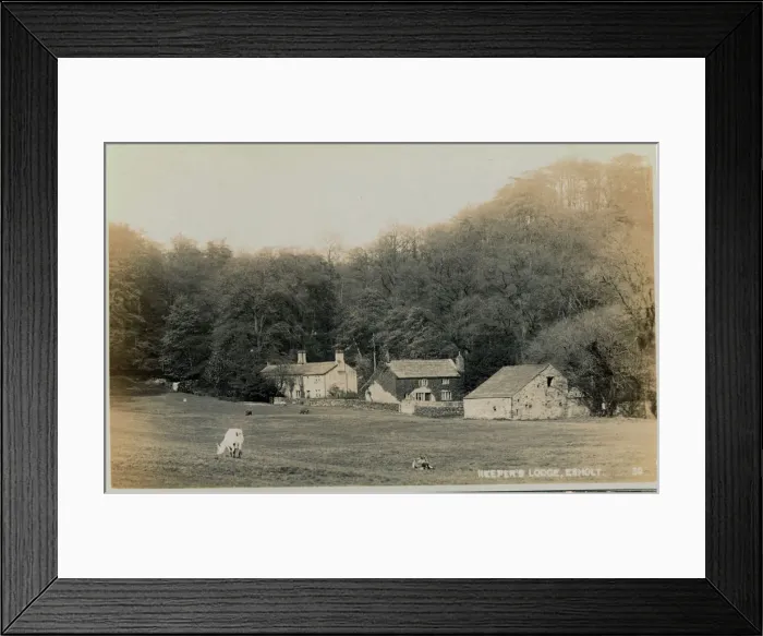 Framed Print : The Village