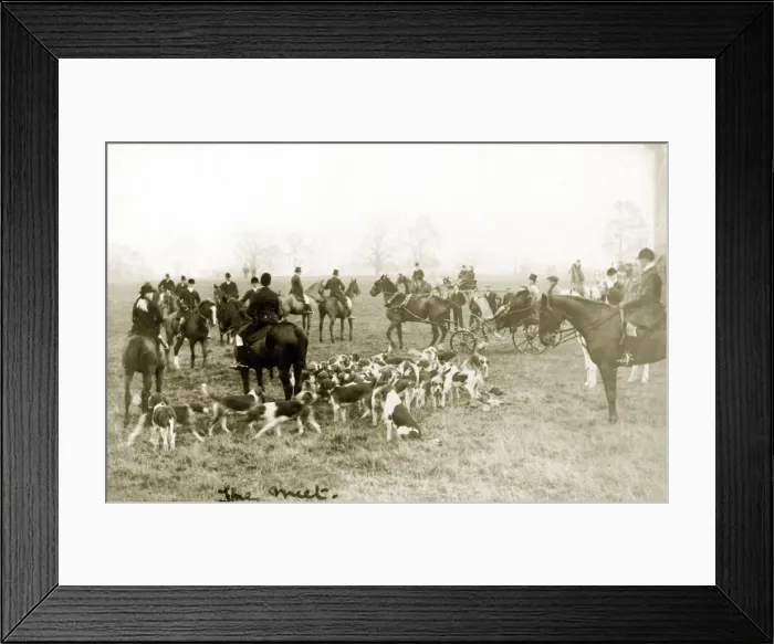 Framed Print : Foxhunting Framed Print : Foxhunting