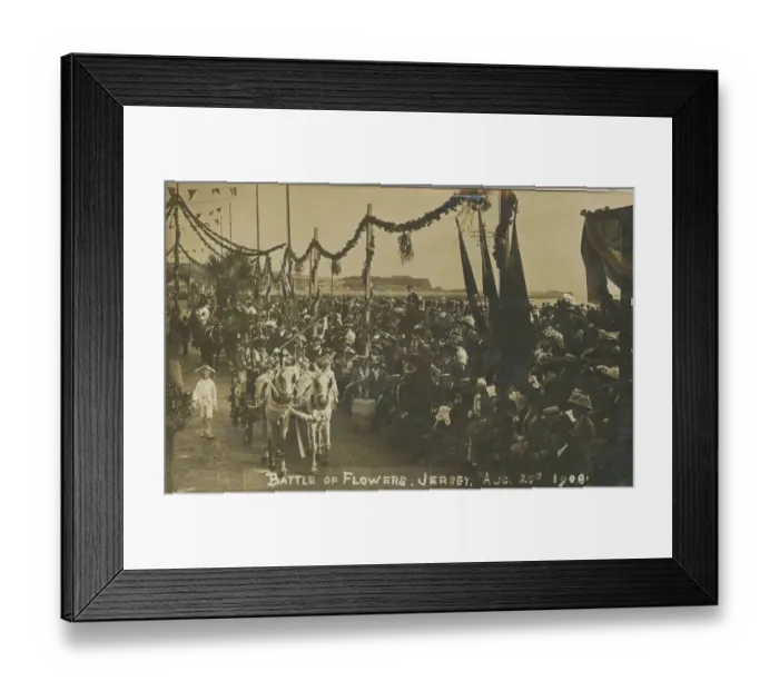 Framed Print : Battle of Flowers Framed Print : Battle of Flowers