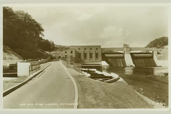 The Dam and Fish Ladder