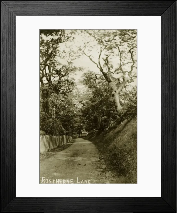 Framed Print : Rostherne Lane Framed Print : Rostherne Lane