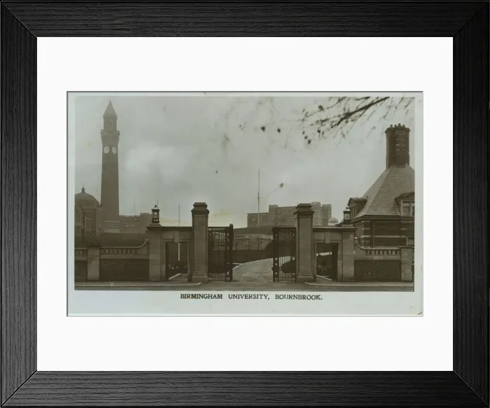 Framed Print : University Gates Framed Print : University Gates