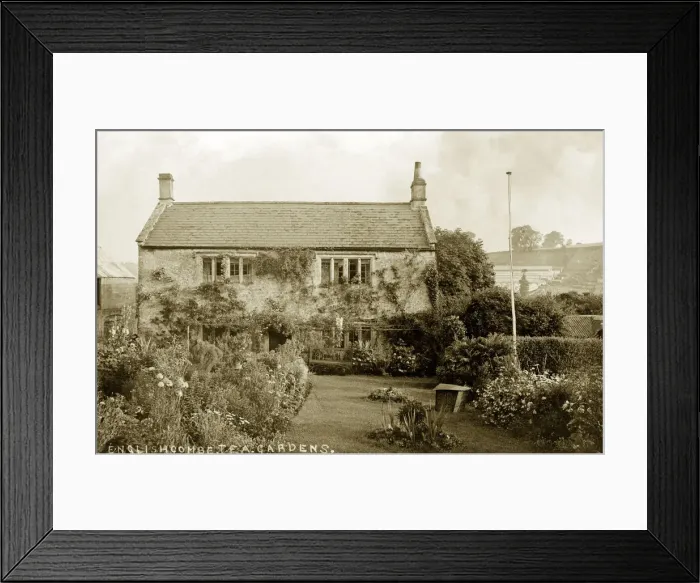 Framed Print : Tea Gardens Framed Print : Tea Gardens