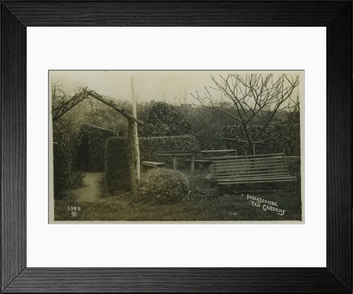 Framed Print : Tea Gardens Framed Print : Tea Gardens