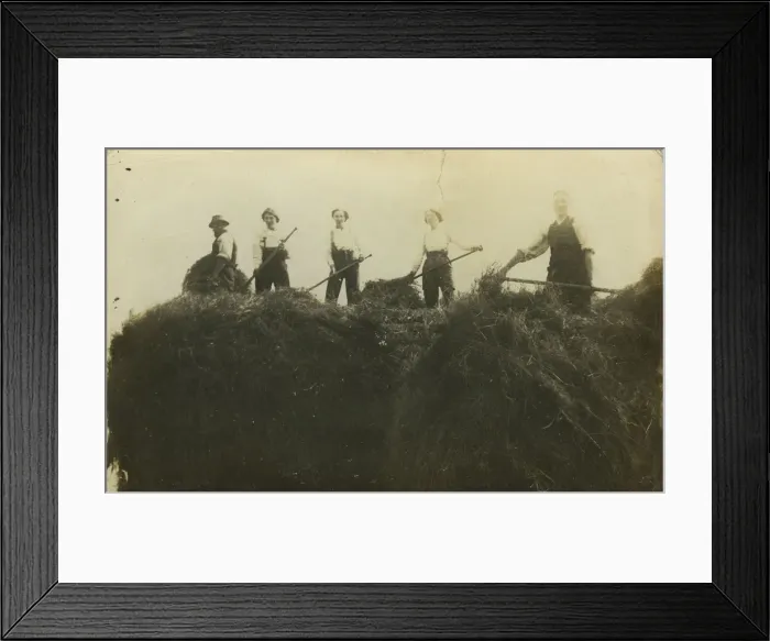 Framed Print : WW2 Land Army - Haymaking Framed Print : WW2 Land Army - Haymaking