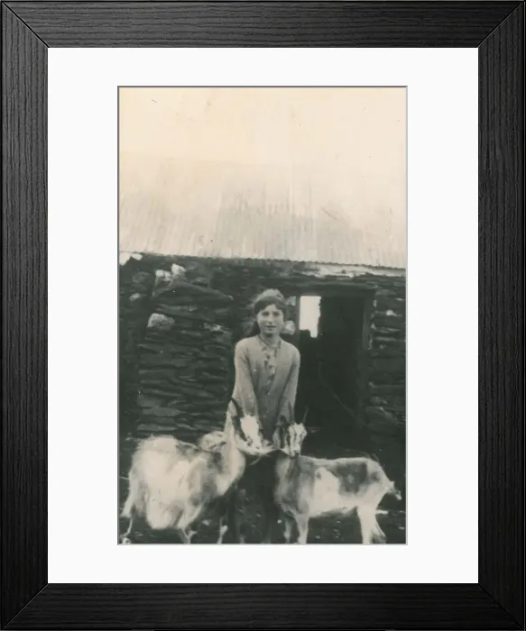 Framed Print : 13127917 Framed Print : 13127917