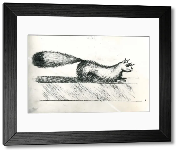 Framed Print : 13127924 Framed Print : 13127924