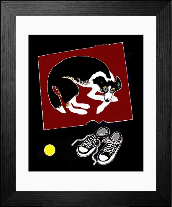 Framed Print : Red Rug and Trainers Framed Print : Red Rug and Trainers