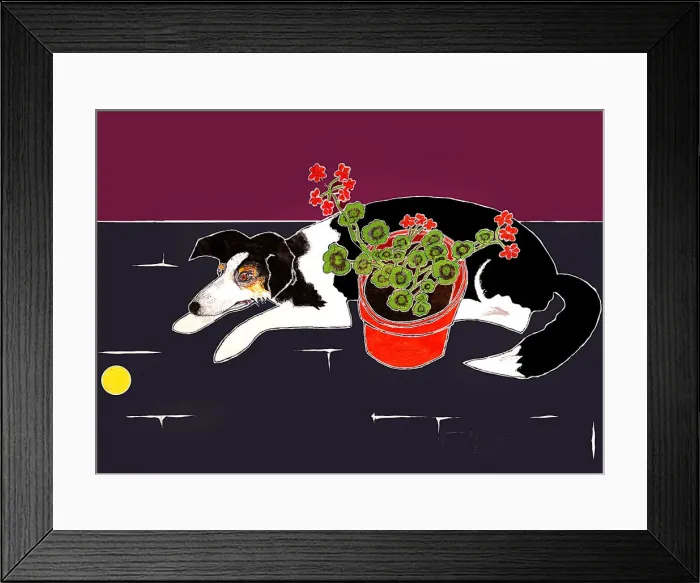 Framed Print : Tennis Ball and Geraniums Framed Print : Tennis Ball and Geraniums