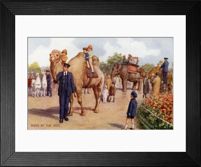 Framed Print : A day at the zoo Framed Print : A day at the zoo