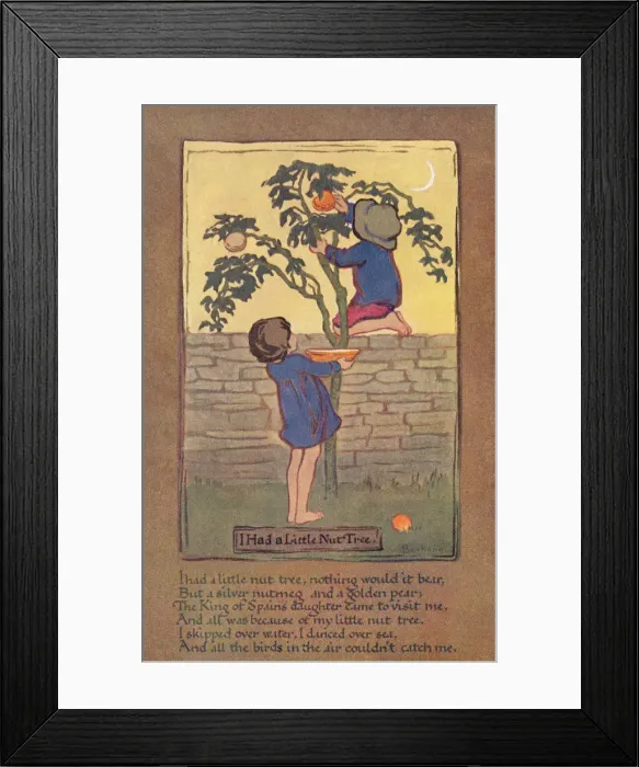 Framed Print : I had a little nut tree Framed Print : I had a little nut tree