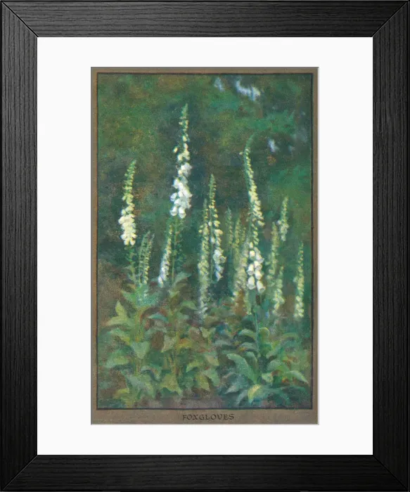 Framed Print : Flowers & Gardens Framed Print : Flowers & Gardens
