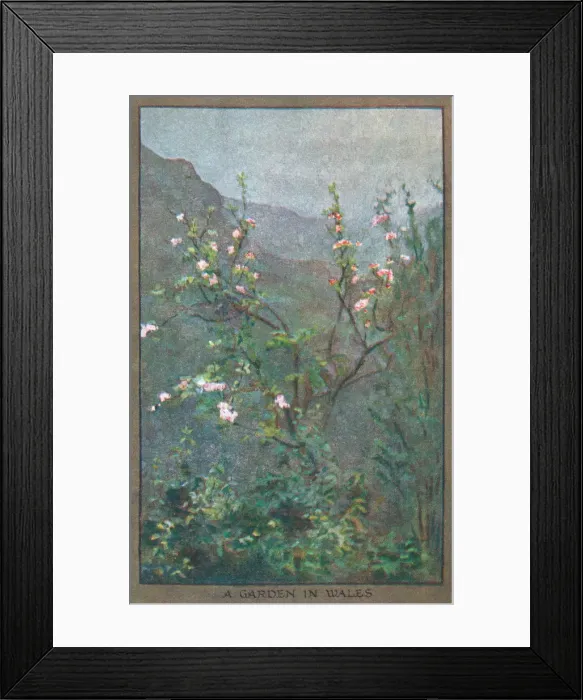 Framed Print : Flowers & Gardens Framed Print : Flowers & Gardens