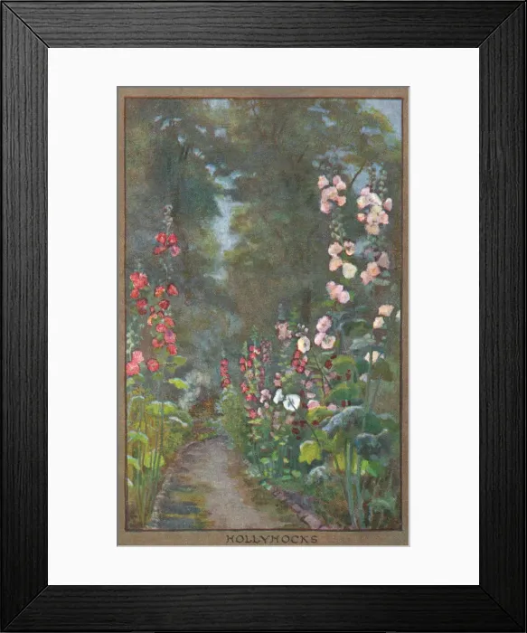 Framed Print : Flowers & Gardens Framed Print : Flowers & Gardens