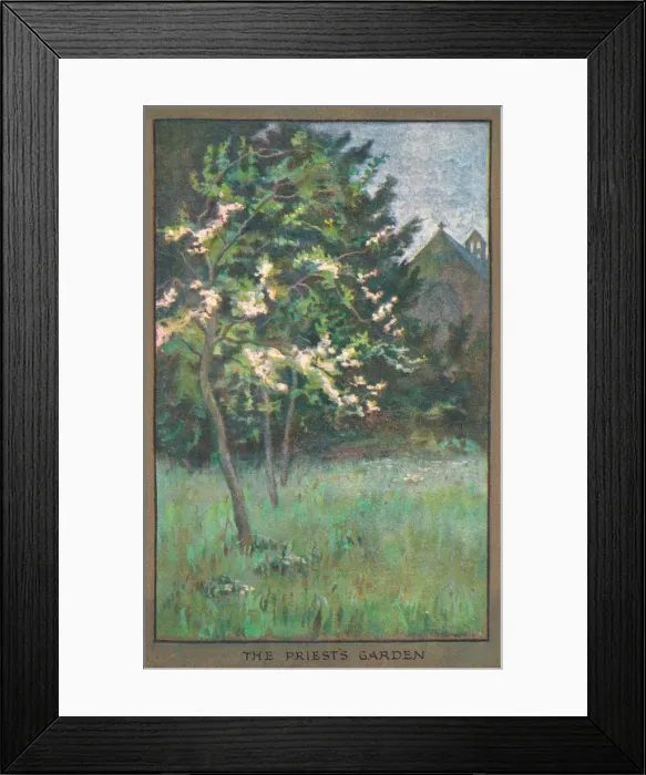 Framed Print : Flowers & Gardens Framed Print : Flowers & Gardens