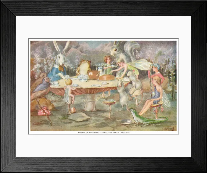 Framed Print : Fairyland. American Starwort - Welcome to a Stranger Framed Print : Fairyland. American Starwort - Welcome to a Stranger