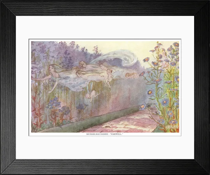 Framed Print : Fairyland. Michaelmas Daisies - Farewell Framed Print : Fairyland. Michaelmas Daisies - Farewell
