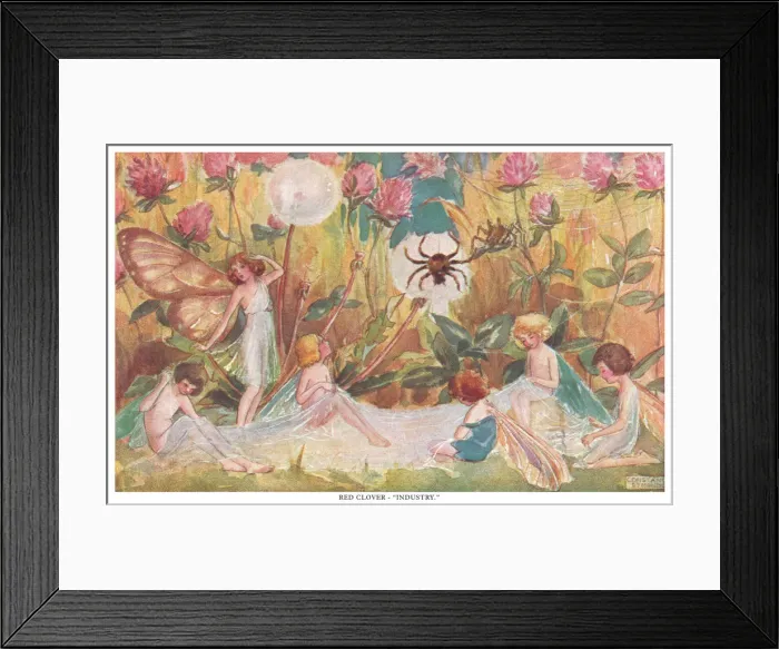 Framed Print : Fairyland. Red Clover - Industry. The language of fairies and plants Framed Print : Fairyland. Red Clover - Industry. The language of fairies and plants