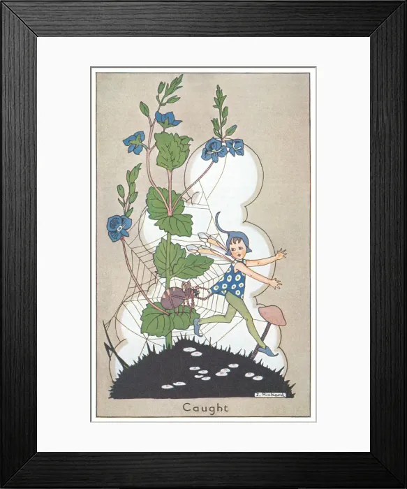Framed Print : Fairyland. A fairy caught up in a spiders web. Artist: J Rickard. Date: 1927 Framed Print : Fairyland. A fairy caught up in a spiders web. Artist: J Rickard. Date: 1927