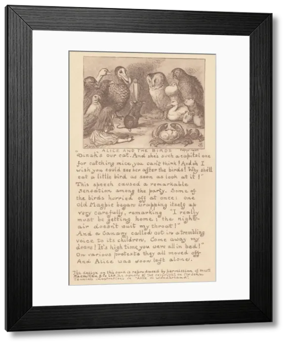 Framed Print : Alice & the birds Framed Print : Alice & the birds
