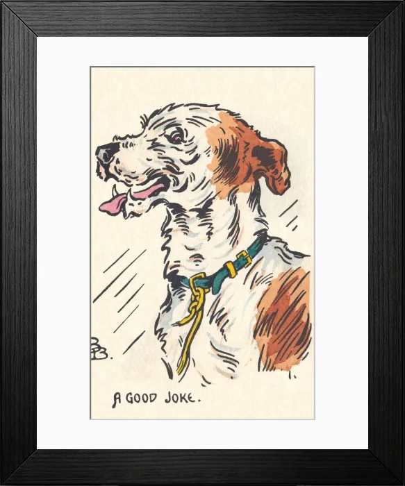 Framed Print : A Happy Dog Framed Print : A Happy Dog