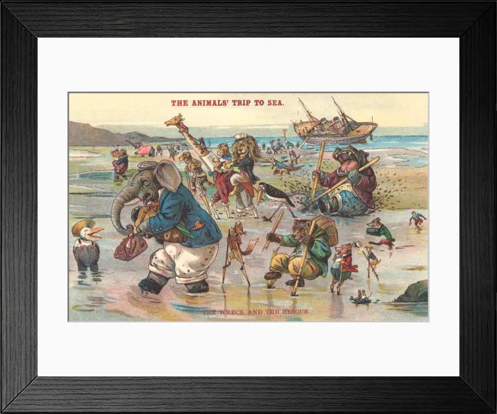 Framed Print : Anthropomorphic Humour Framed Print : Anthropomorphic Humour