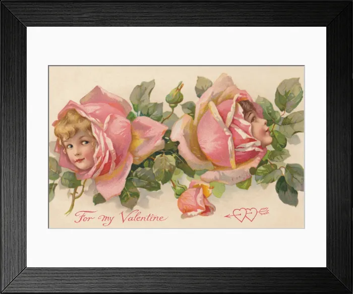 Framed Print : Pink rose Flower Faces Framed Print : Pink rose Flower Faces