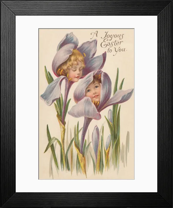 Framed Print : Iris Flower Faces Framed Print : Iris Flower Faces