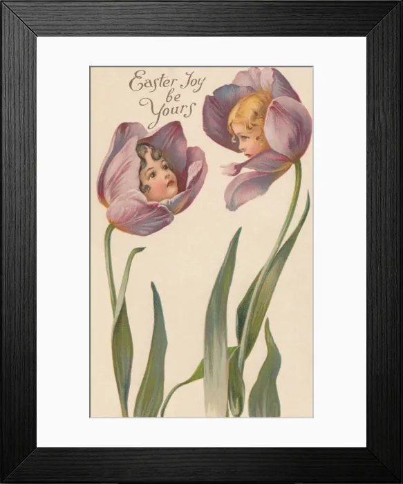 Framed Print : Tulip Flower Faces Framed Print : Tulip Flower Faces