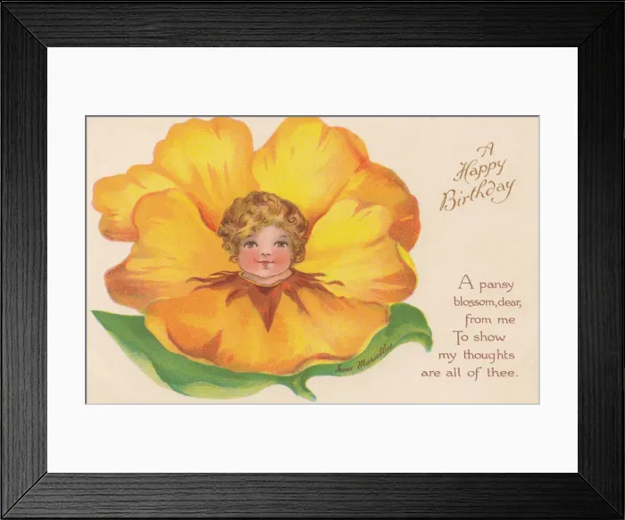 Framed Print : Yellow Flower Faces Framed Print : Yellow Flower Faces