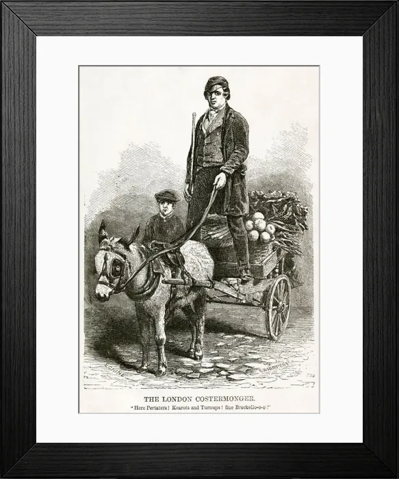 Framed Print : London costermonger 1850s Framed Print : London costermonger 1850s