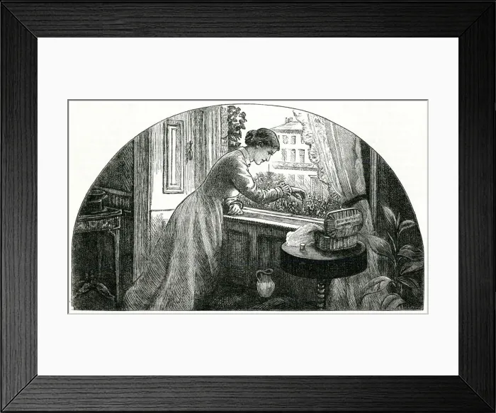 Framed Print : Lady tending her window box 1878