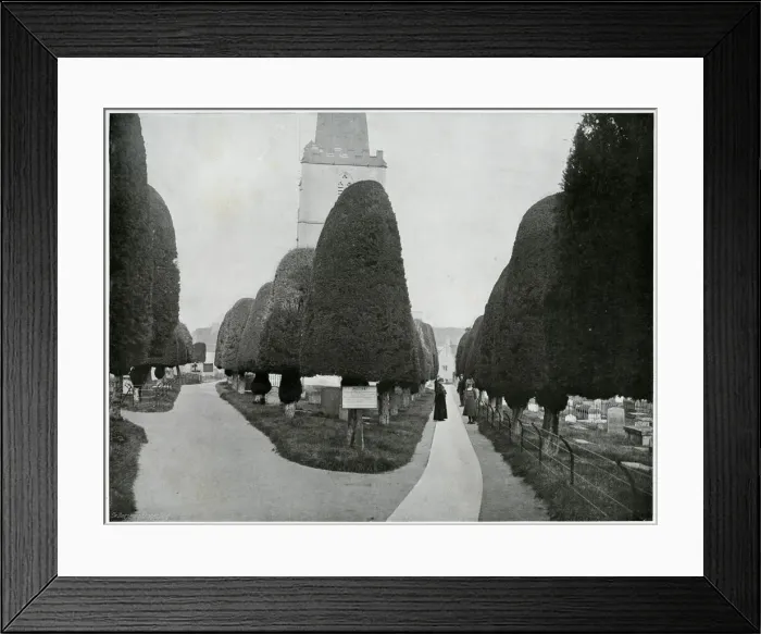 Framed Print : Painswick Clipping 1902 Framed Print : Painswick Clipping 1902