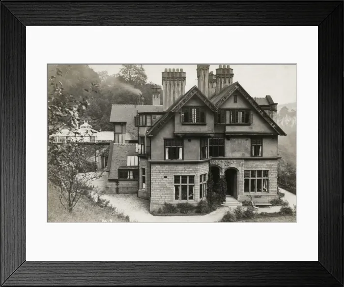 Framed Print : Large domestic house Framed Print : Large domestic house