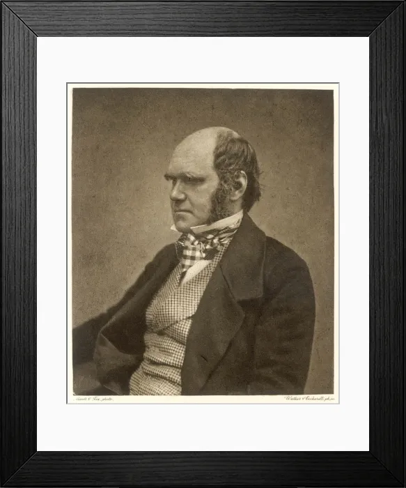 Framed Print : Charles Darwin Framed Print : Charles Darwin