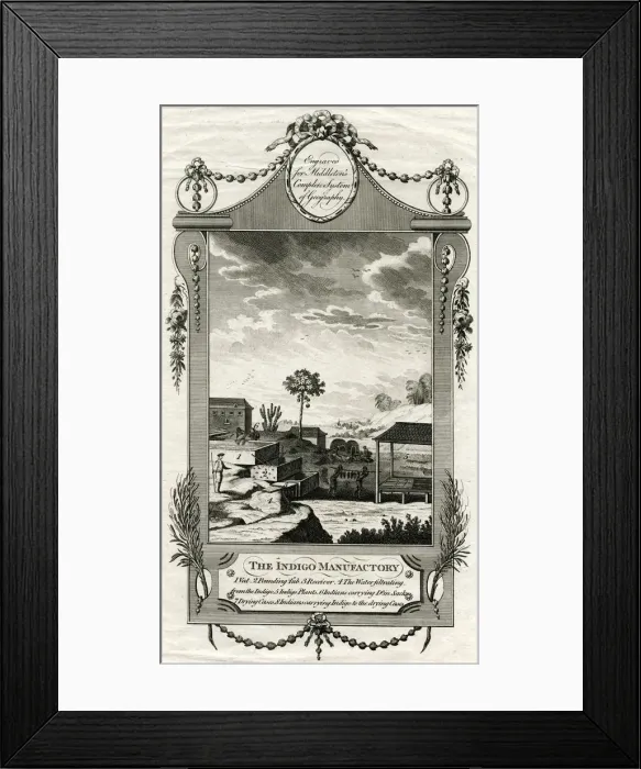 Framed Print : Indigo manufactory in India Framed Print : Indigo manufactory in India
