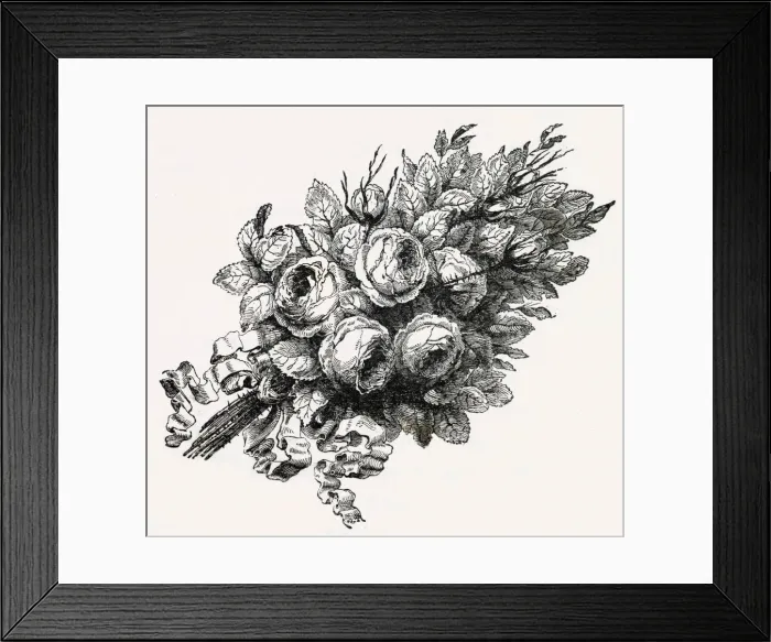 Framed Print : Bouquet of roses tied with ribbon Framed Print : Bouquet of roses tied with ribbon