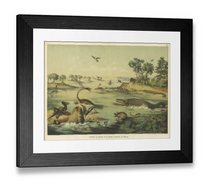Framed Print : Animals and plants of the Jurassic era Framed Print : Animals and plants of the Jurassic era