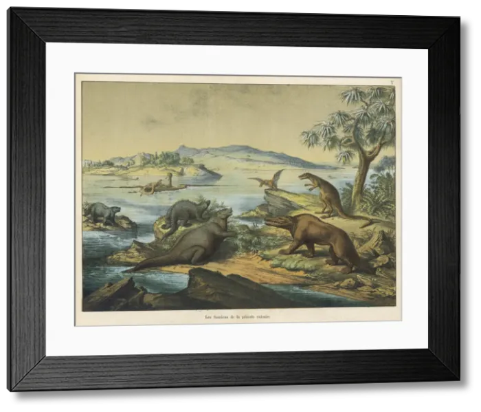 Framed Print : Animals and plants of the post-Jurassic era Framed Print : Animals and plants of the post-Jurassic era