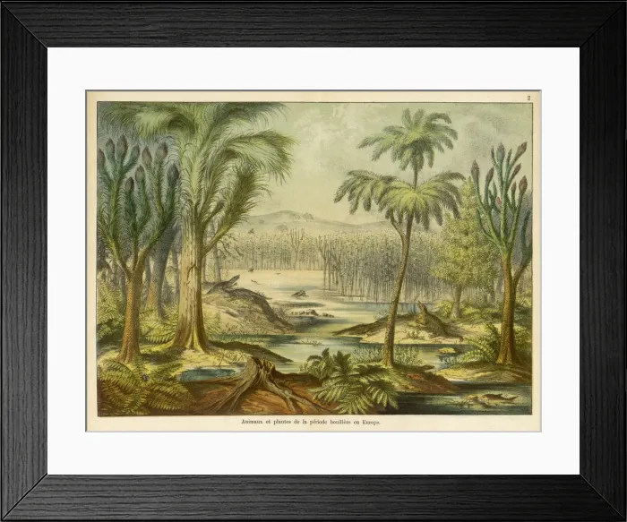 Framed Print : Carboniferous landscape in Europe Framed Print : Carboniferous landscape in Europe
