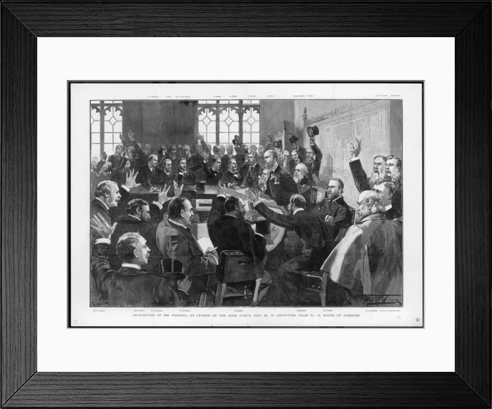 Framed Print : Charles Stewart Parnell re-elected Framed Print : Charles Stewart Parnell re-elected