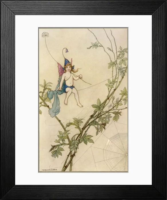 Framed Print : Puck on spiders thread Framed Print : Puck on spiders thread