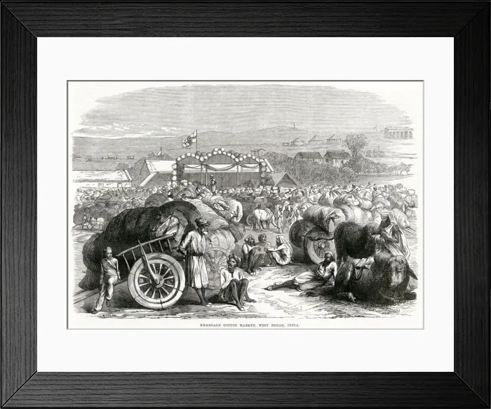 Framed Print : Khangaon cotton market, India 1870 Framed Print : Khangaon cotton market, India 1870