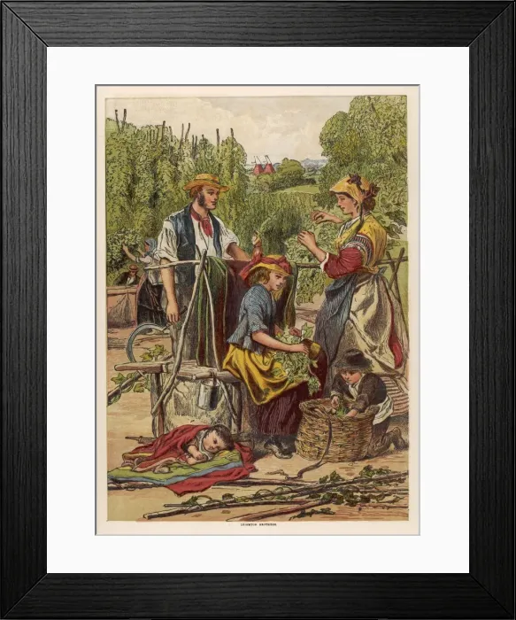 Framed Print : Men Women and Children Hop Picking Framed Print : Men Women and Children Hop Picking