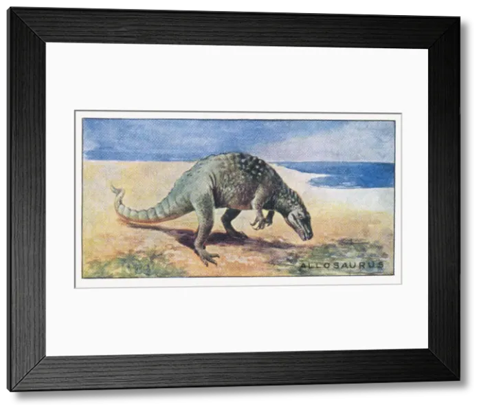 Framed Print : DINOSAUR / ALLOSAURUS Framed Print : DINOSAUR / ALLOSAURUS