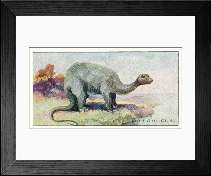 Framed Print : DINOSAUR / DIPLODOCUS Framed Print : DINOSAUR / DIPLODOCUS