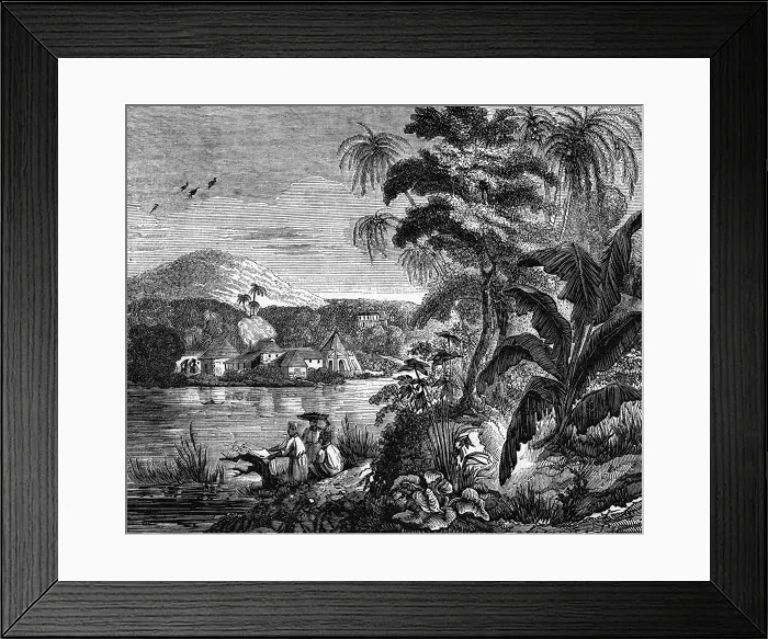 Framed Print : FOOD AND DRINK / SUGAR Framed Print : FOOD AND DRINK / SUGAR