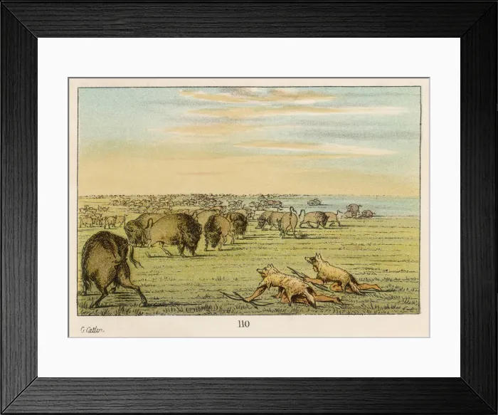 Framed Print : HUNTING / BUFFALO Framed Print : HUNTING / BUFFALO